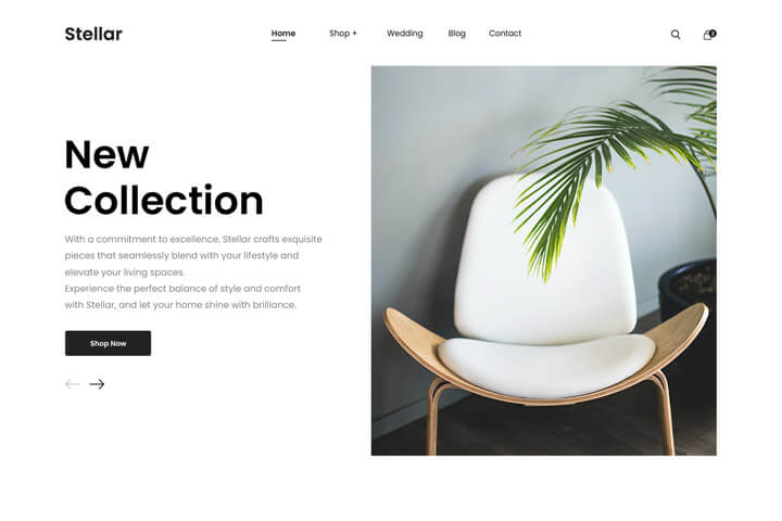 Banner showcasing an online store website example