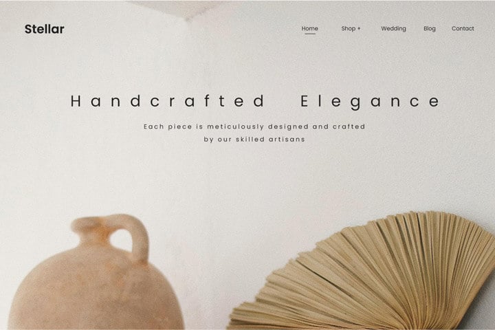 Banner showcasing an online store website example